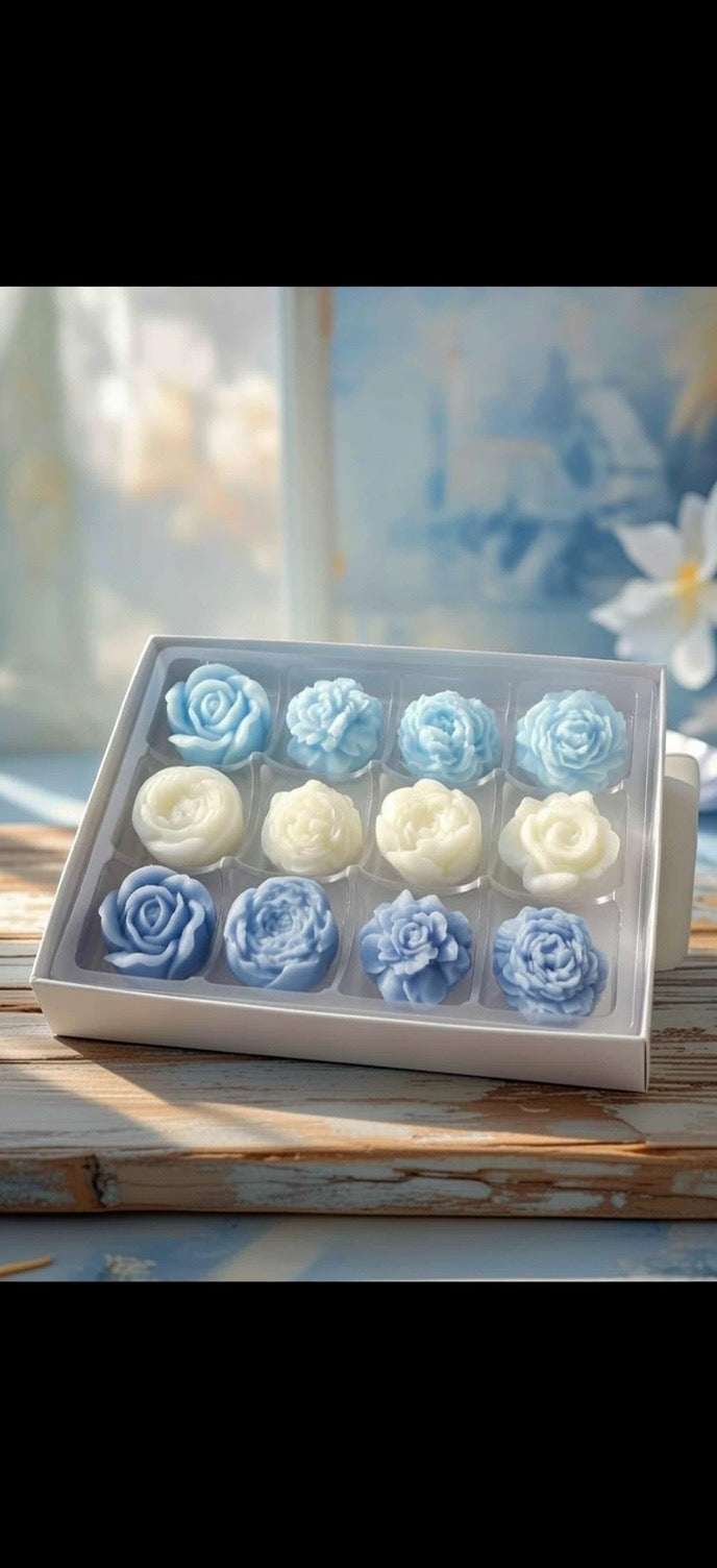 The Perfume Collection Wax melt gift box