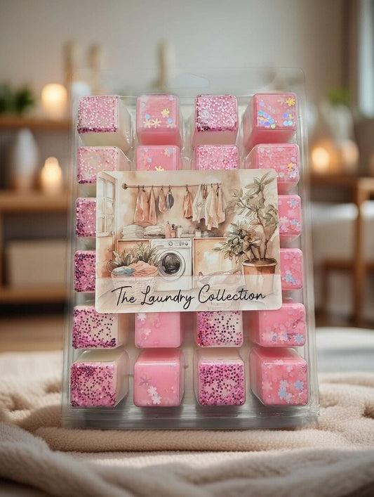 24 Laundry/clean wax melts