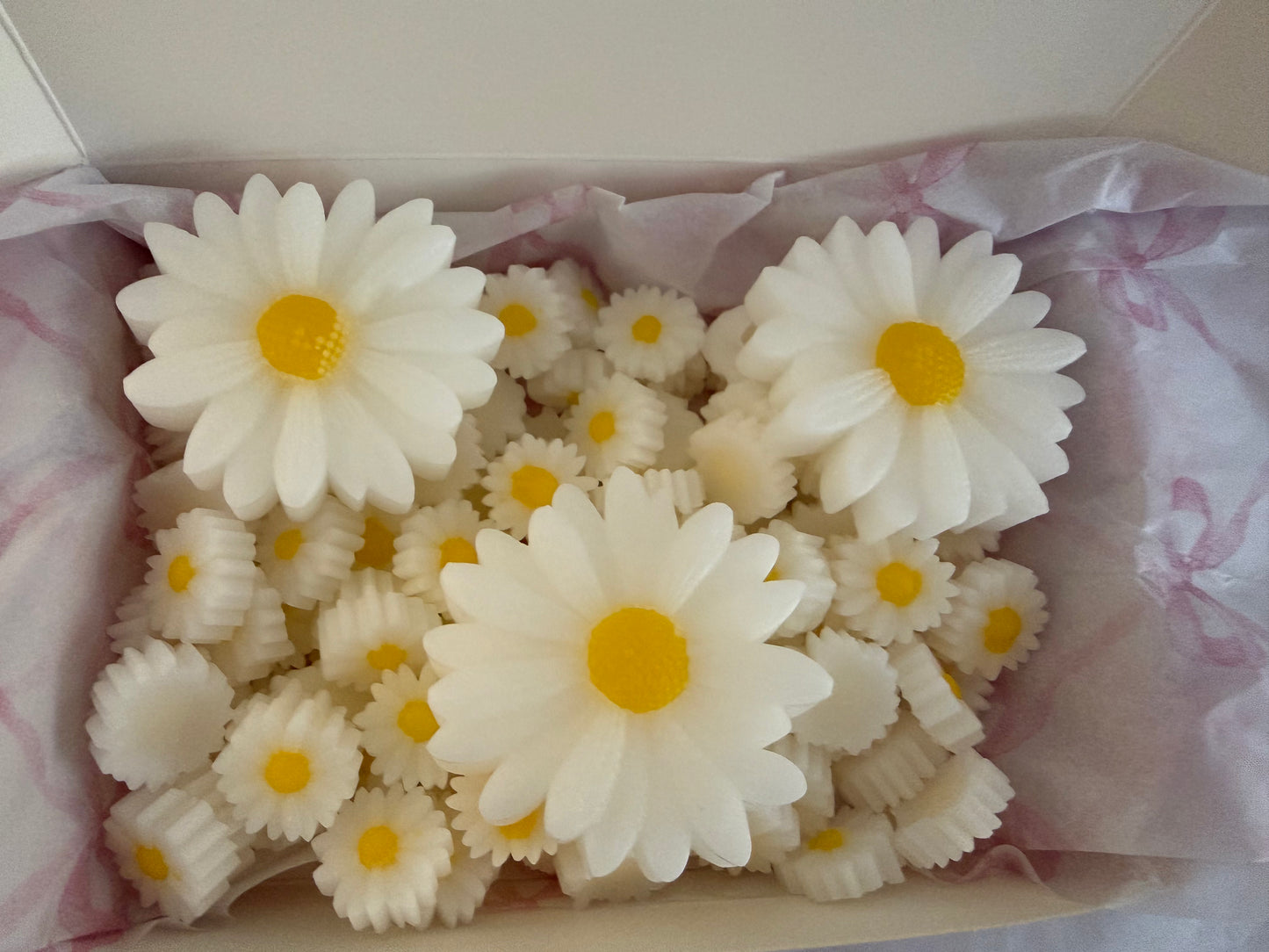 Dinky Daisies wax melt scoopies