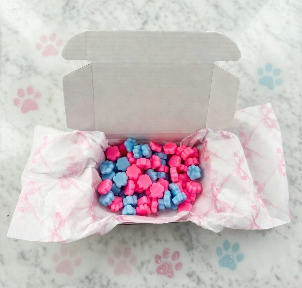 Paw-some scoopie collection 50g boxes