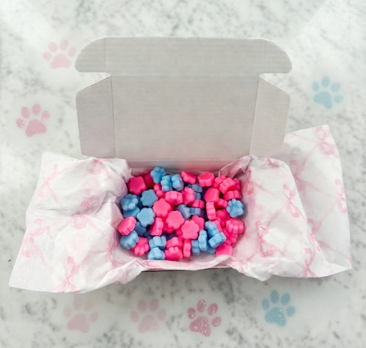Paw-some scoopie collection 50g boxes