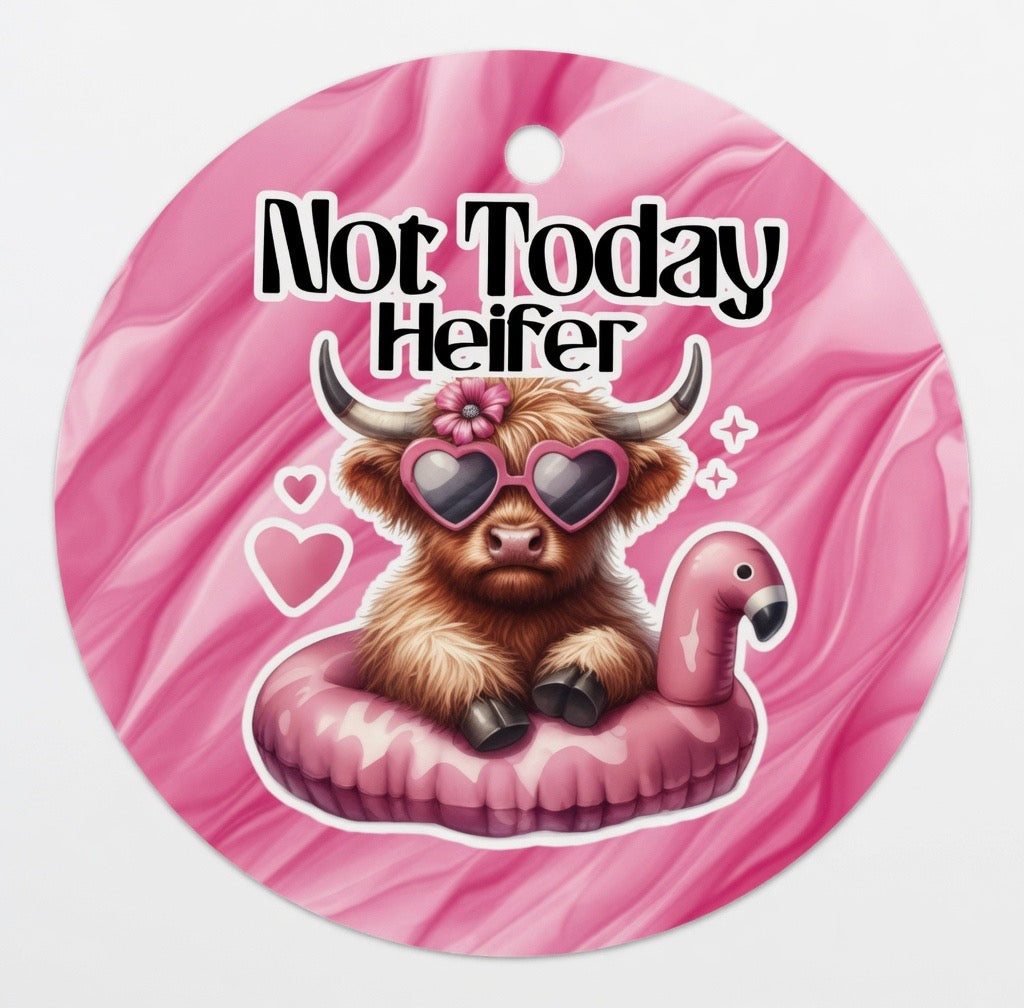 Car air fresheners